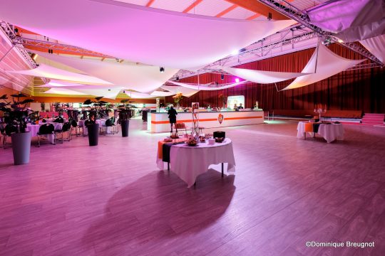 salle VIP hospitalités entreprises Antarès Le Mans