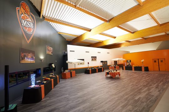 salle VIP hospitalités entreprises Antarès Le Mans