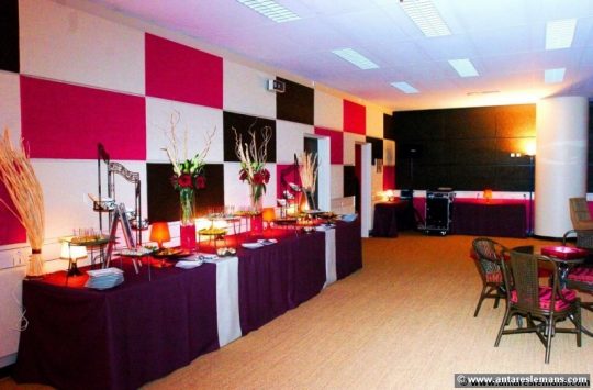 salle VIP hospitalités entreprises Antarès Le Mans