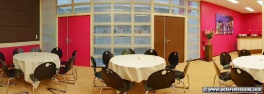 salle VIP hospitalités entreprises Antarès Le Mans